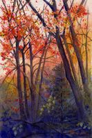 Autumn Woods Series 2